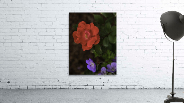 FLO 00582 Wall Preview