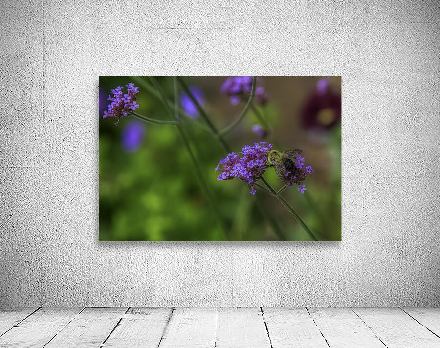 FLO 00570 Wall Preview