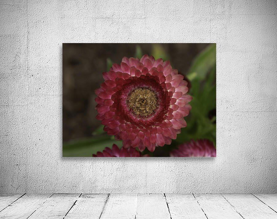 FLO 00589 Wall Preview