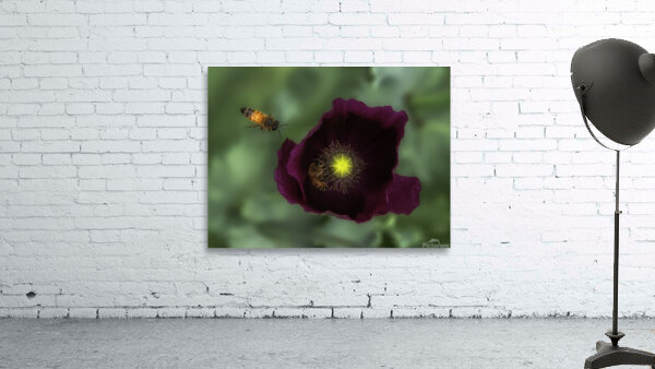 FLO 00573 Wall Preview