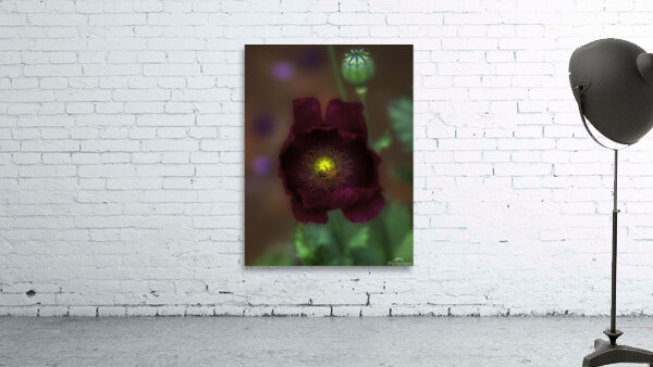 FLO 00571 Wall Preview