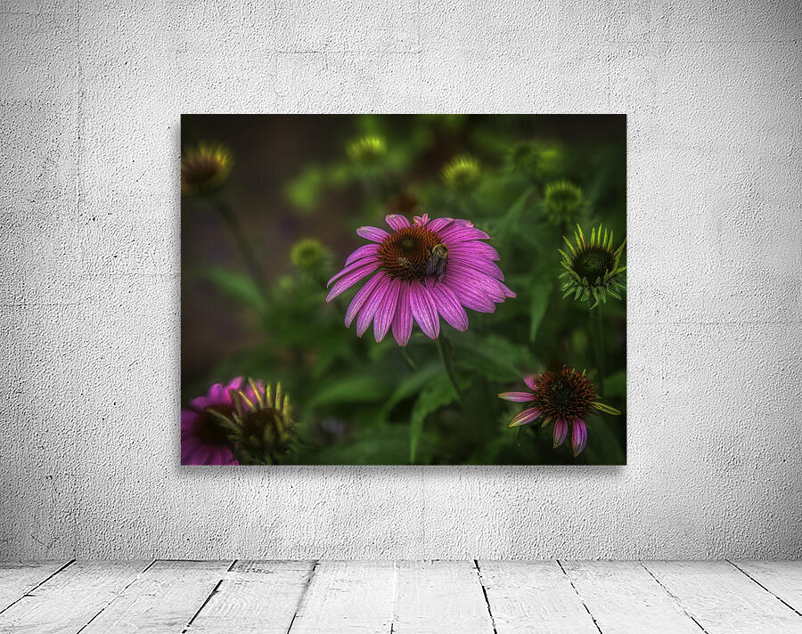 FLO 00569 Wall Preview
