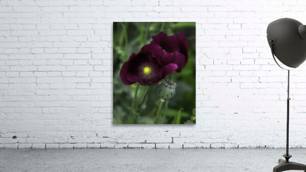 FLO 00584 Wall Preview
