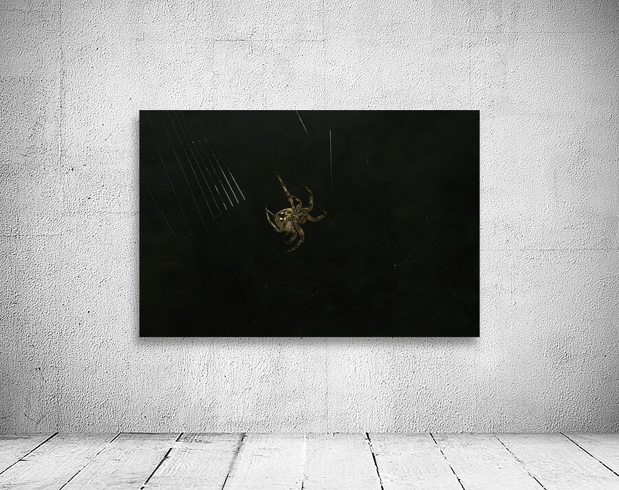 INS 00642 Wall Preview