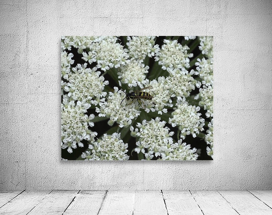 INS 00610 Wall Preview