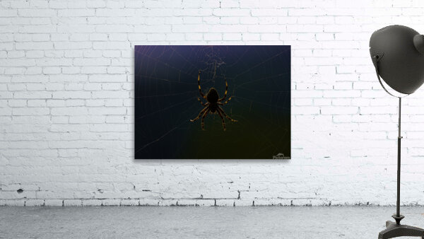 INS 00640 Wall Preview
