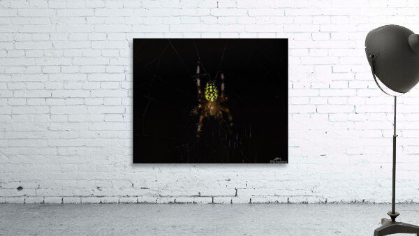 INS 00639 Wall Preview