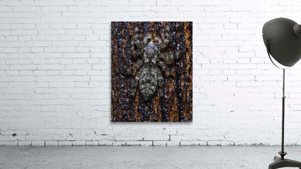 INS 00636 Wall Preview