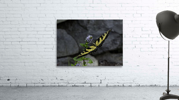 INS 00612 Wall Preview