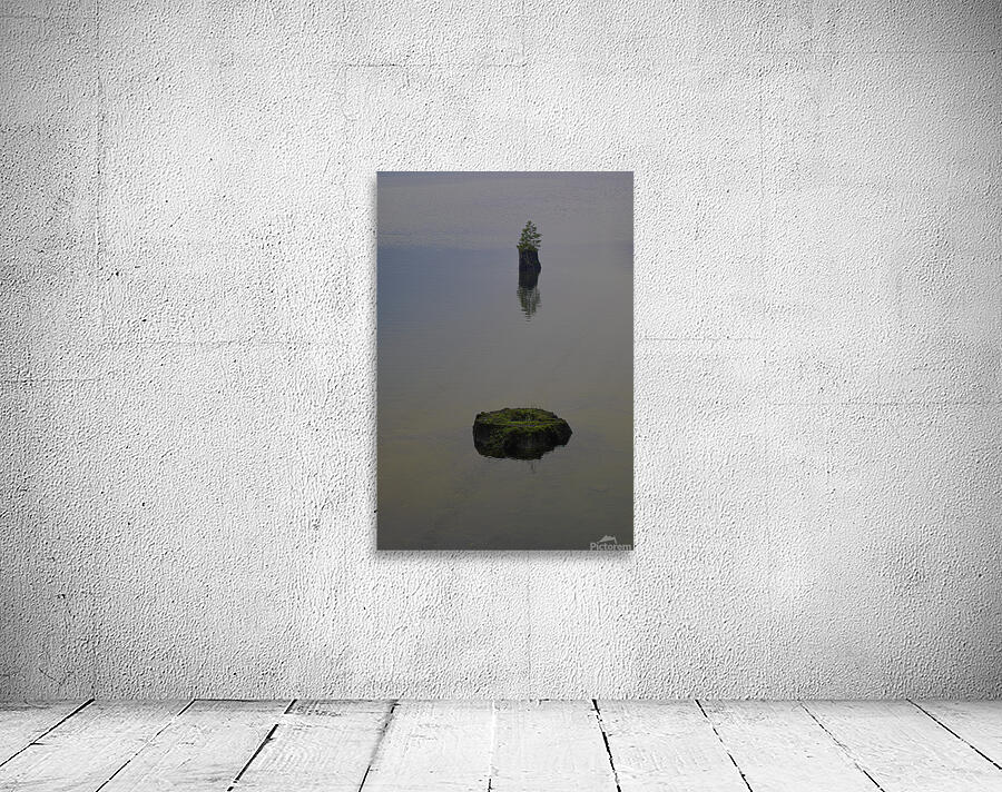 LAN 00743 Wall Preview