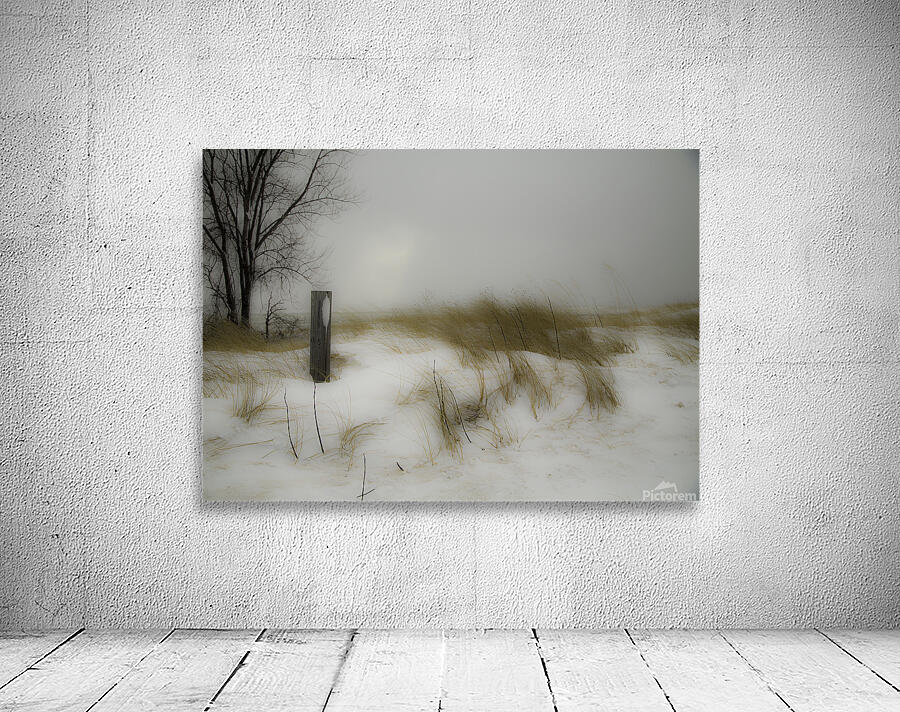 MIS 00989 Wall Preview