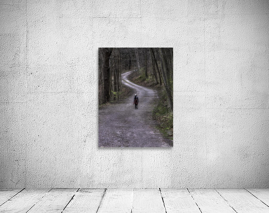 MIS 01109 Wall Preview