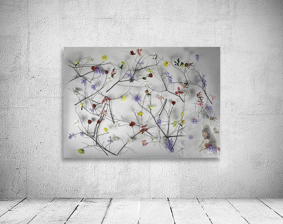 MIS 01088 Wall Preview