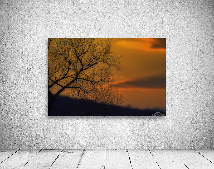 MIS 01068 Wall Preview