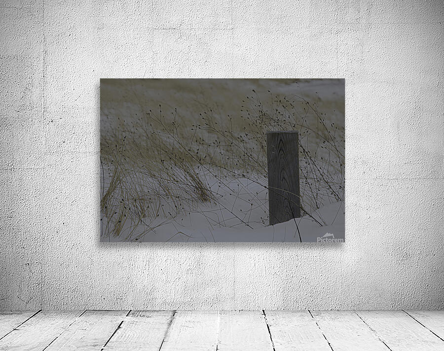 MIS 01087 Wall Preview