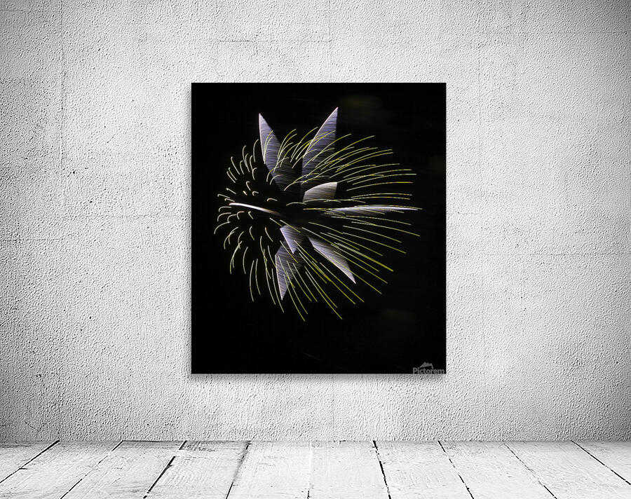 MIS 01056 Wall Preview