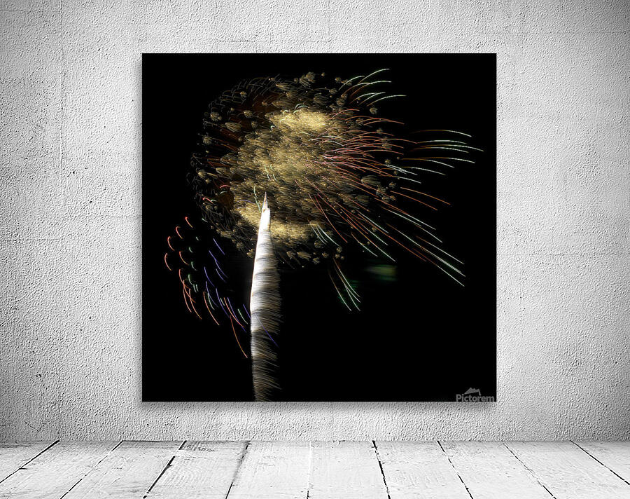 MIS 01054 Wall Preview