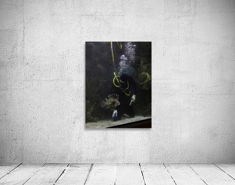 MIS 01138 Wall Preview