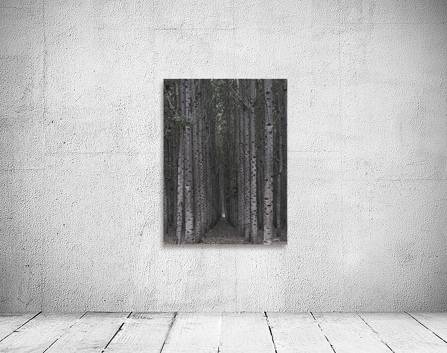 MIS 01134 Wall Preview