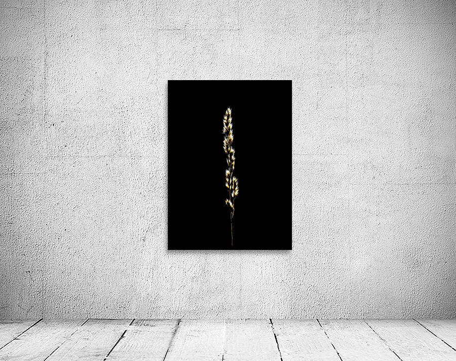 MIS 01111 Wall Preview