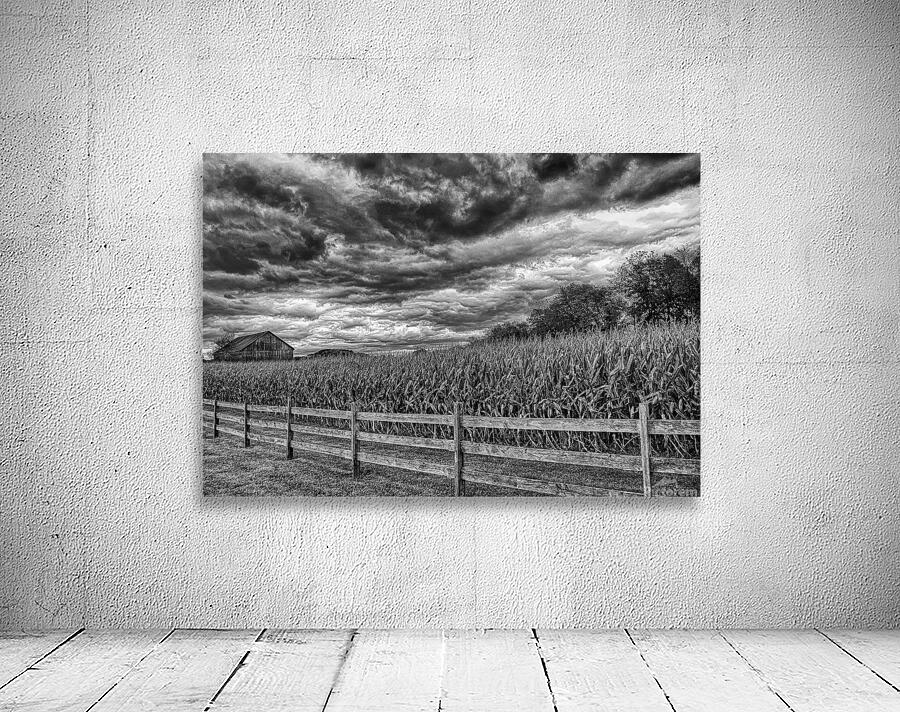MIS 01139 Wall Preview