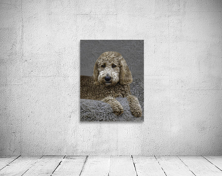 PEO 01214 Wall Preview