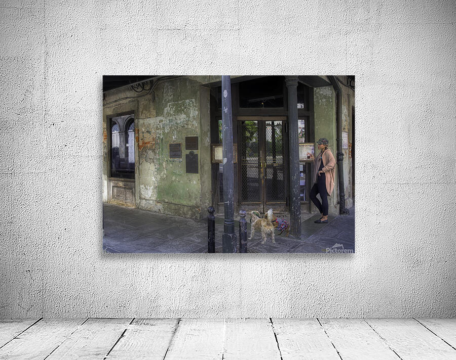 PEO 01247 Wall Preview