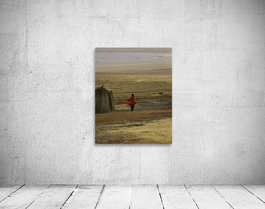 PEO 01243 Wall Preview