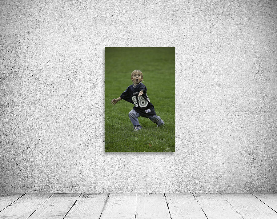 PEO 01251 Wall Preview