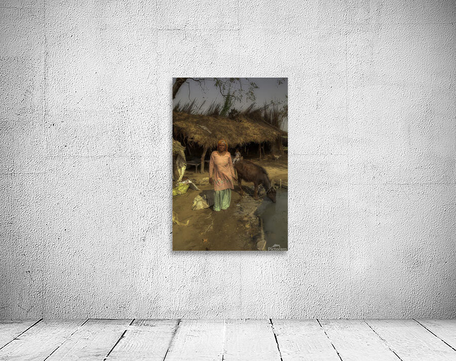 PEO 01314 Wall Preview