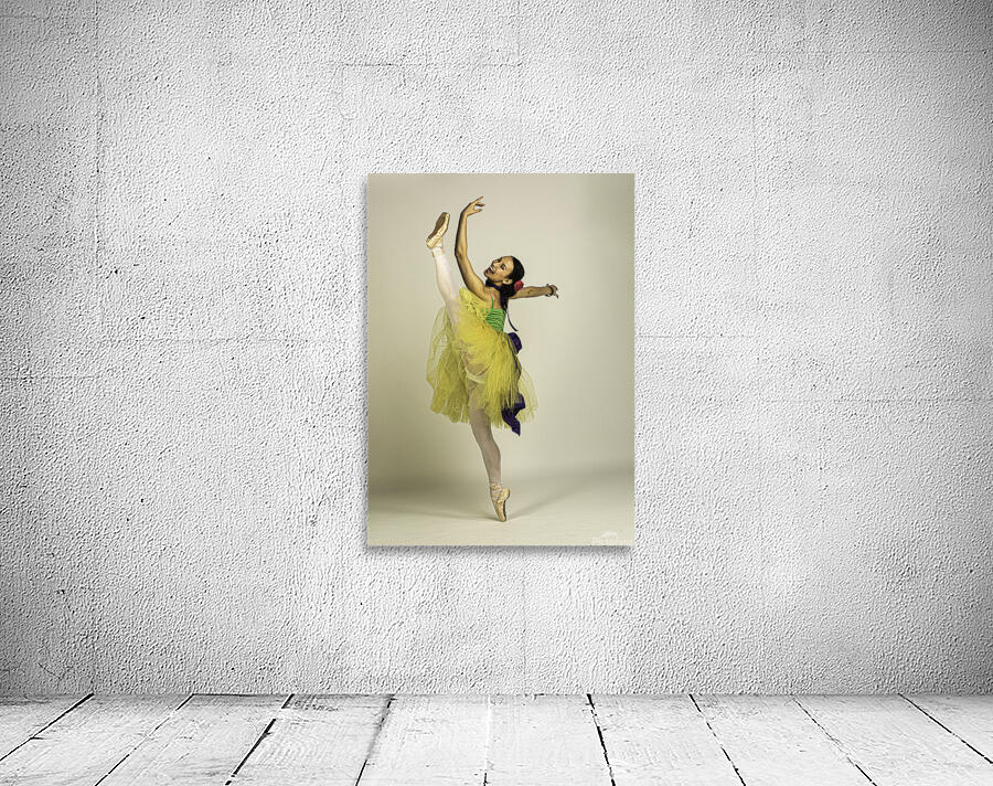 ACT 01447 Wall Preview