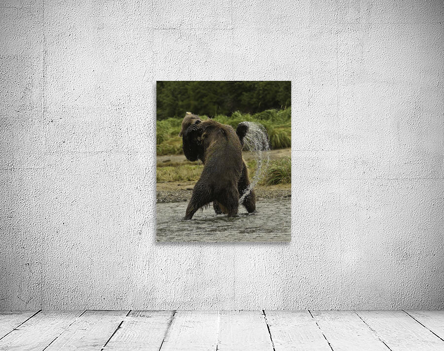 ACT 01390 Wall Preview