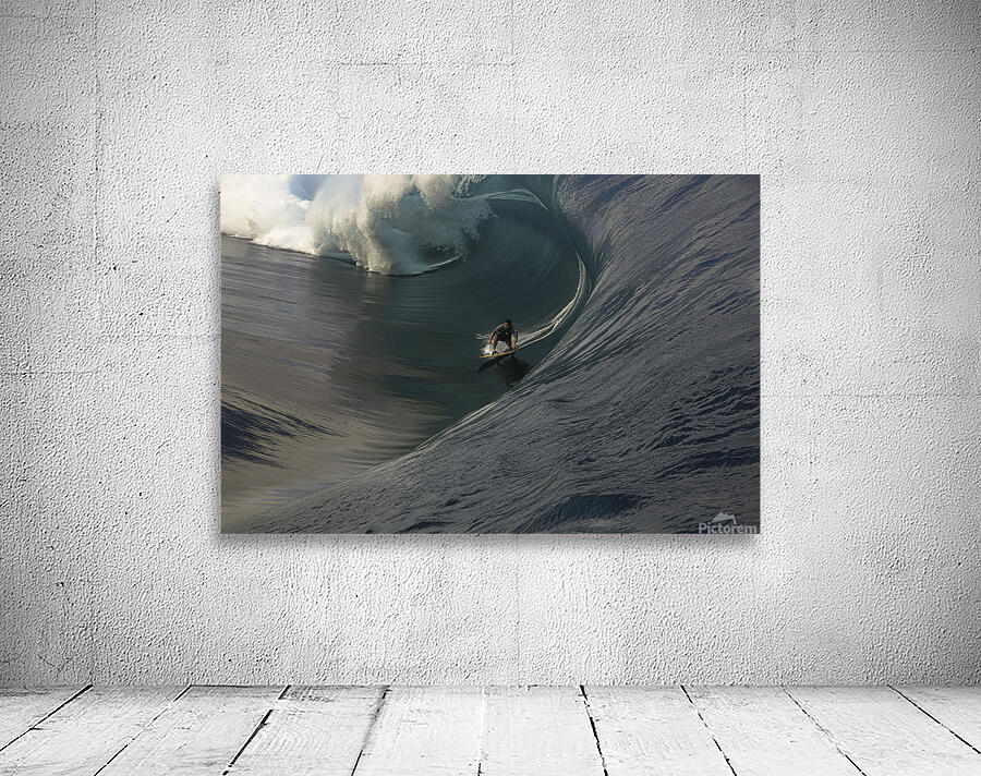 ACT 01366 Wall Preview