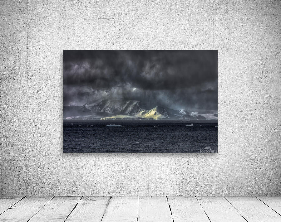 LAN 01649 Wall Preview