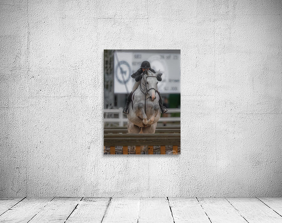 ACT *01678 Wall Preview