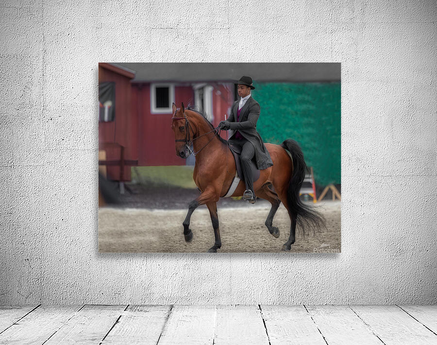 ACT 01679 Wall Preview
