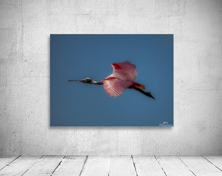 BIR 01721 Wall Preview