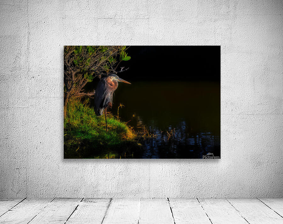 BIR 01718 Wall Preview