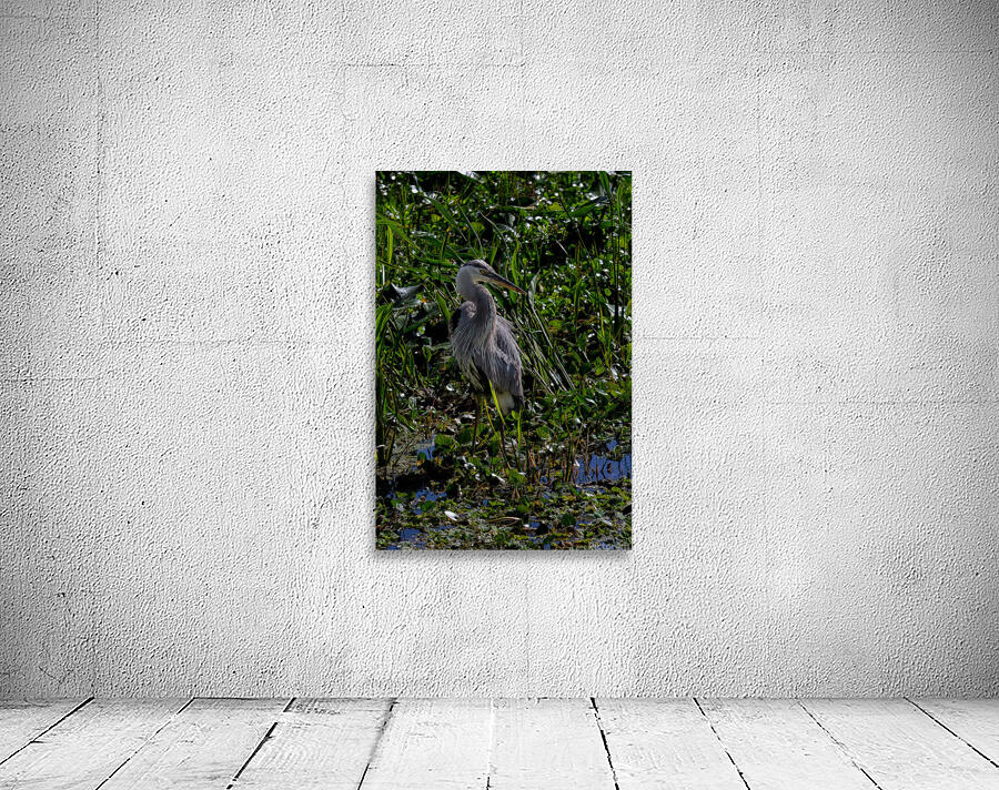 BIR 01719 Wall Preview