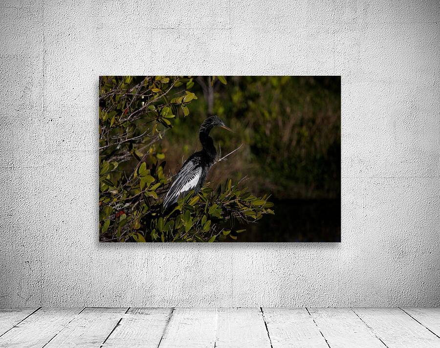 BIR 01717 Wall Preview