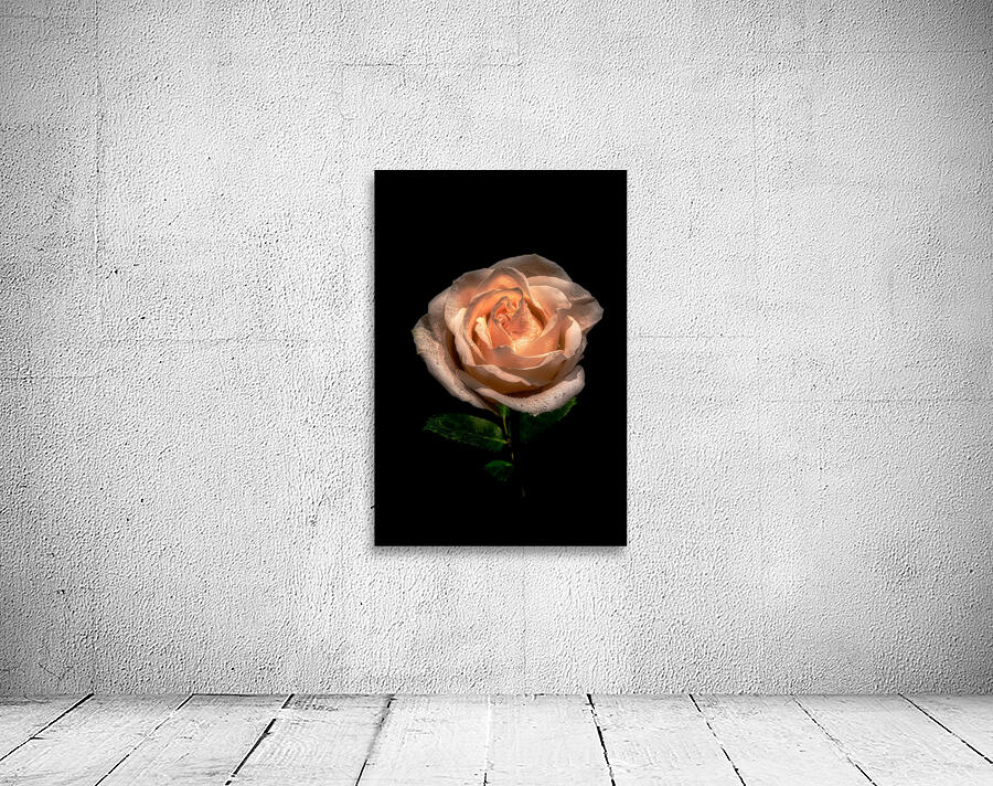 FLO 01817 Wall Preview