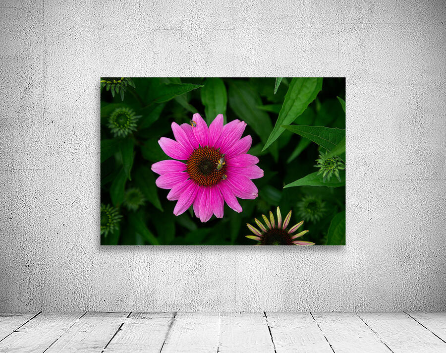 FLO 01791 Wall Preview