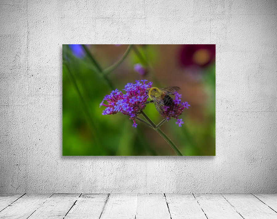 FLO 01792 Wall Preview