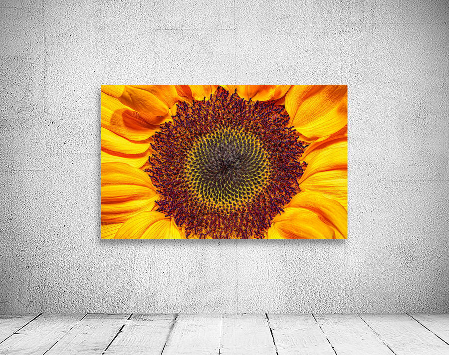 FLO 01764 Wall Preview