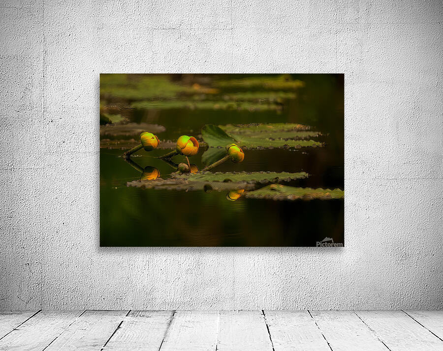 FLO 01759 Wall Preview