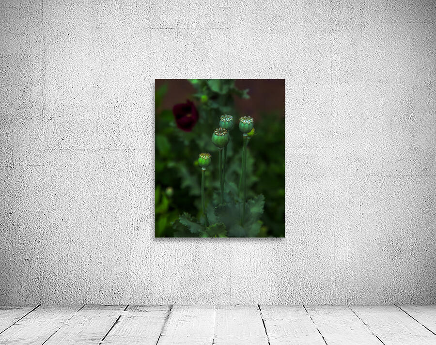 FLO 01795 Wall Preview