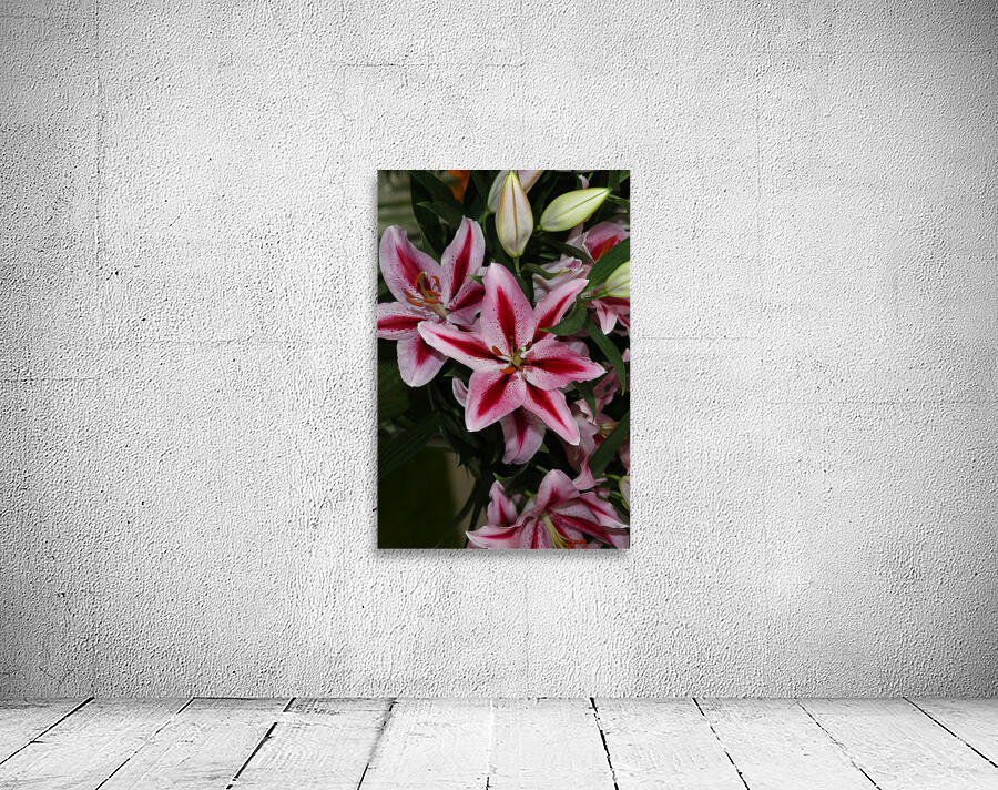 FLO 01810 Wall Preview