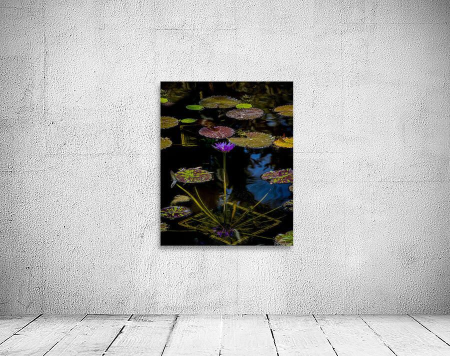 FLO 01820 Wall Preview