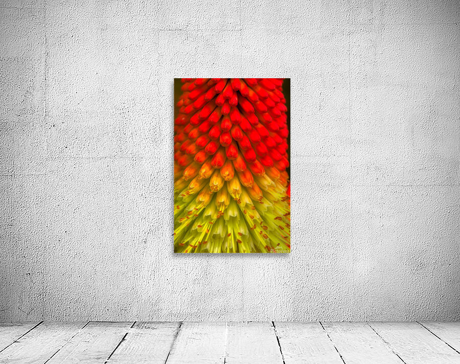 FLO 01822 Wall Preview