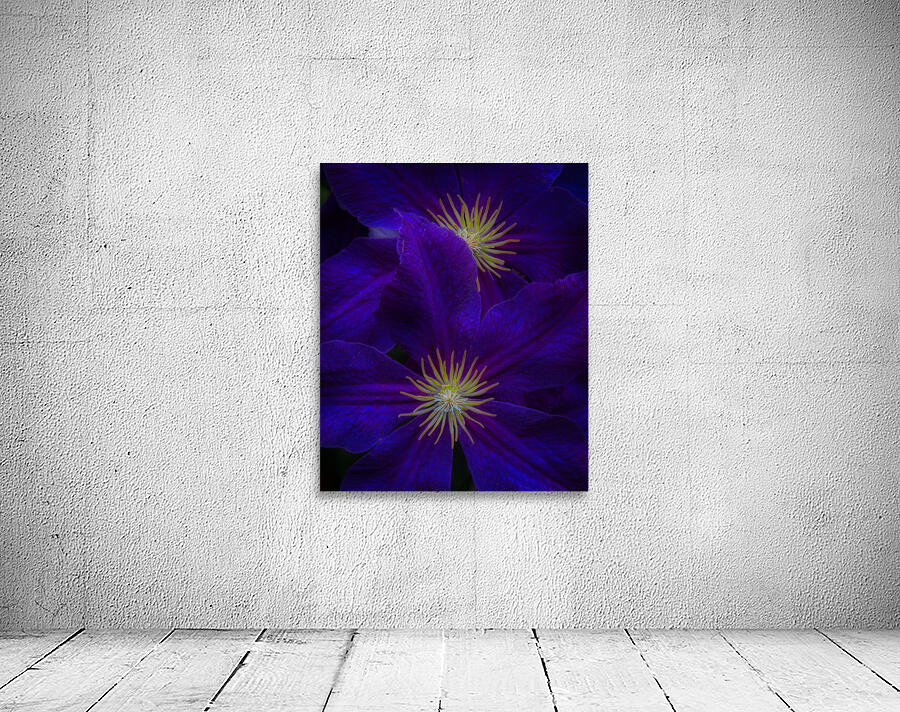 FLO 01780 Wall Preview